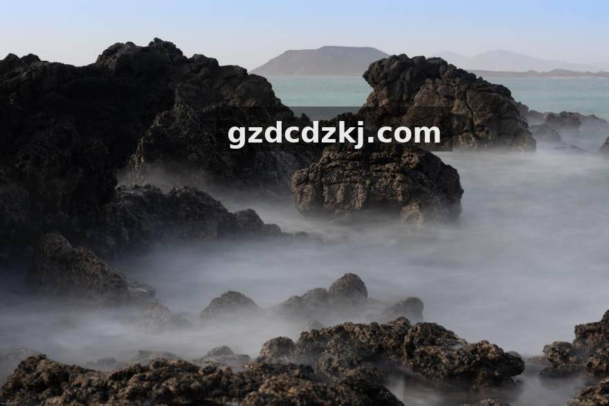 zoty中欧内容与数据团队工作场景
